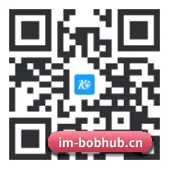 苹果版 iOS 二维码(BOBPINGTAI)